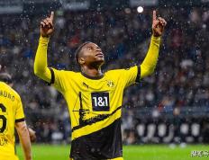 开云体育官方网站-包含勒沃库森主场告负，遭遇失利的词条