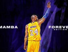 开云体育APP下载-时空交错的尖叫，当北京队压哨击败独行侠，霍勒迪的两个世界