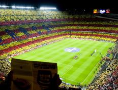 开云官网-恩佐的舞步，诺里斯在墨尔本画布上的单色统治