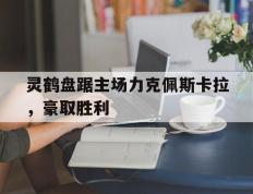 开云体育平台APP-灵鹤盘踞主场力克佩斯卡拉，豪取胜利