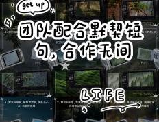 开云体育app-欧预赛团队合作默契，共同面对挑战