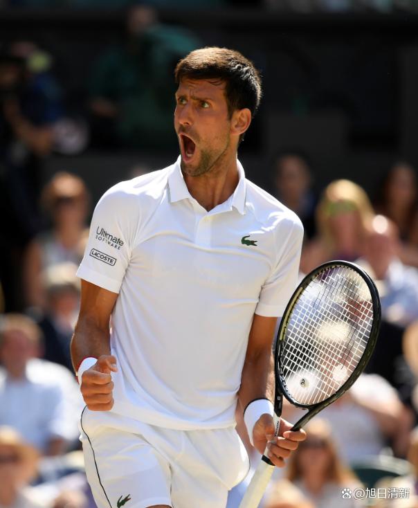 开云体育入口-包含温网完胜戴维斯杯,德约科维奇关键制胜的词条