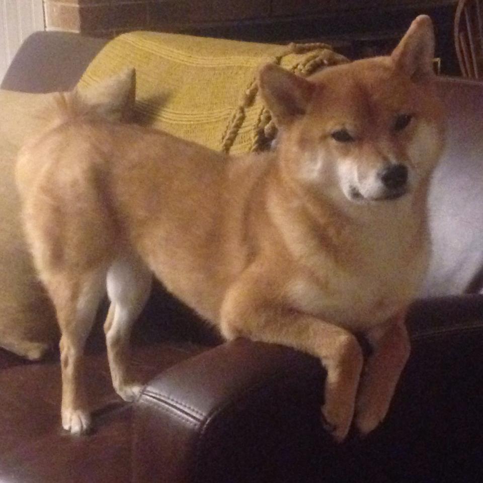 开云体育中国-亚特兰大风暴,拉文爆发领衔,老鹰连续得分狂潮压制开拓者逆流